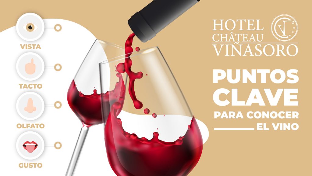Cuatro puntos clave para empezar a conocer y apreciar el vino.