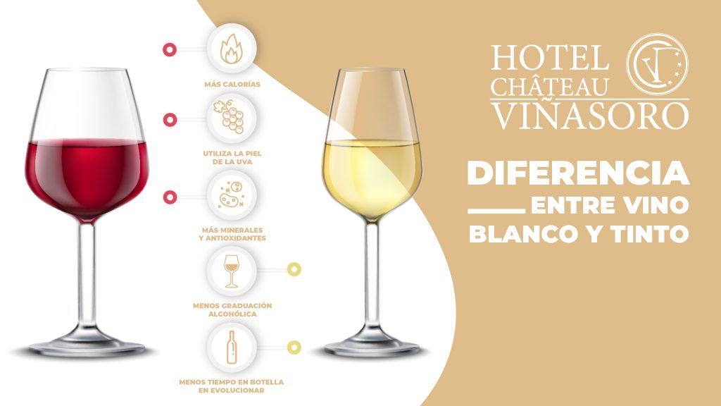¿Sabes cuáles son las principales diferencias entre el Vino Blanco y el Vino Tinto?